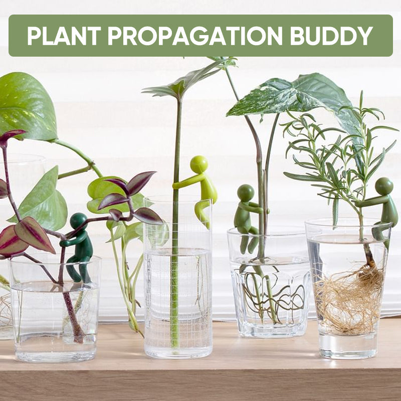 植物用の装飾的で柔軟な挿し木サポート (x3)