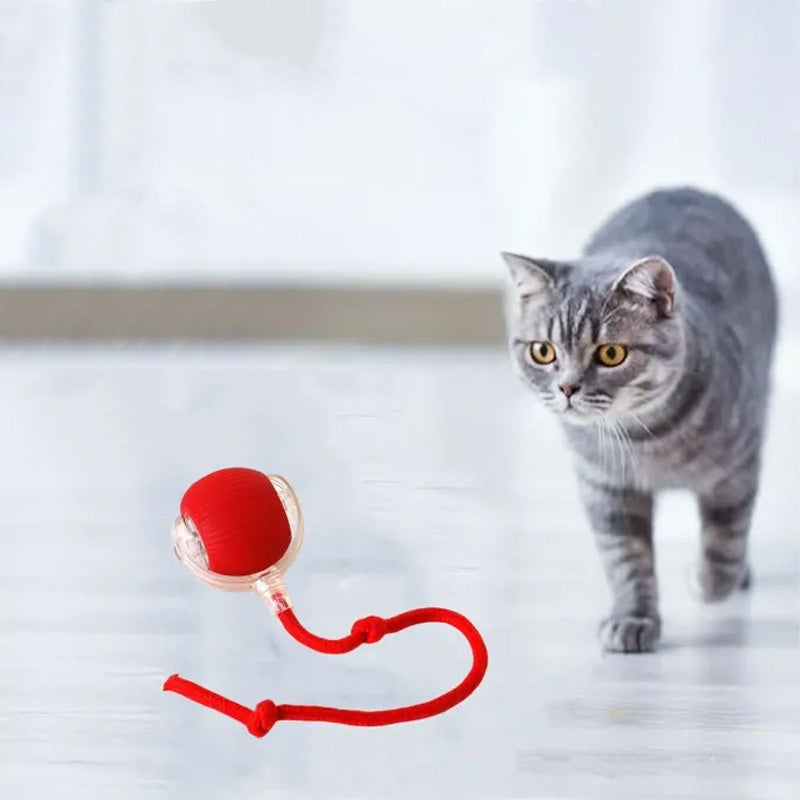 Hoppende leke for aktive og nysgjerrige katter