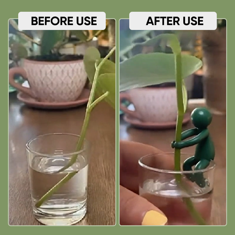 植物用の装飾的で柔軟な挿し木サポート (x3)