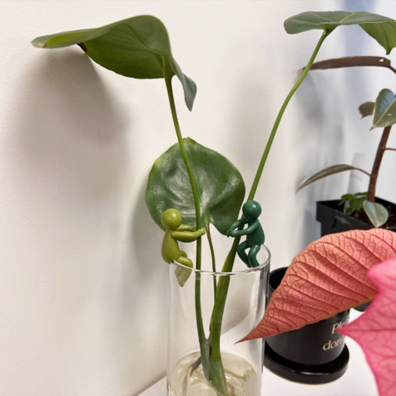 植物用の装飾的で柔軟な挿し木サポート (x3)