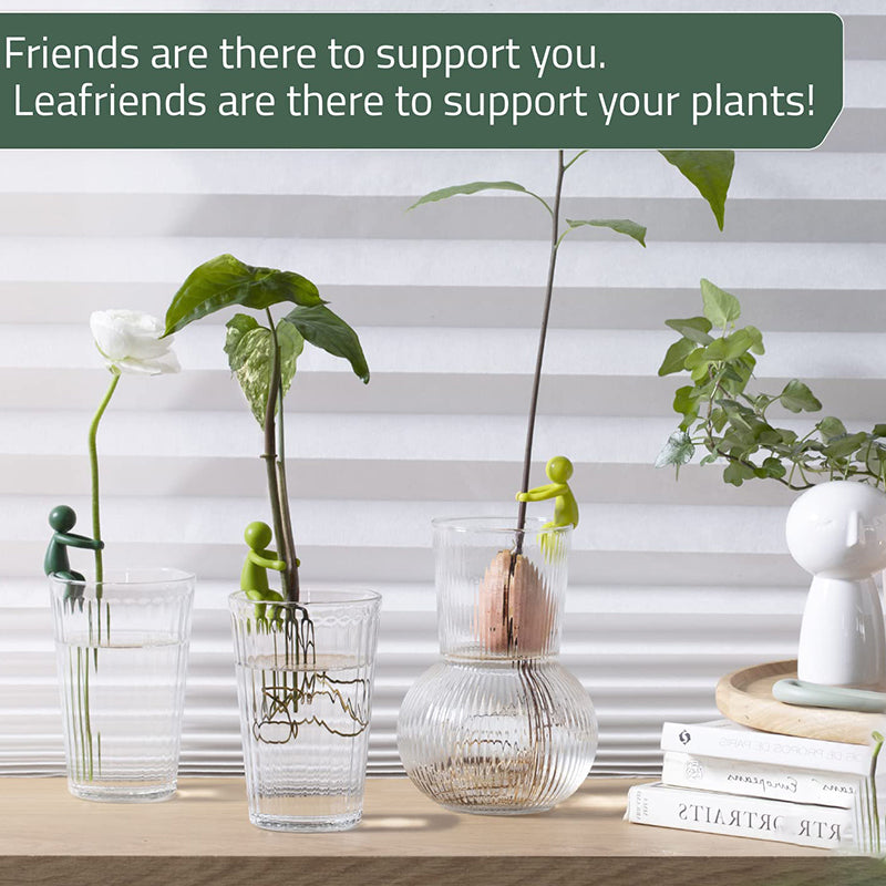 植物用の装飾的で柔軟な挿し木サポート (x3)