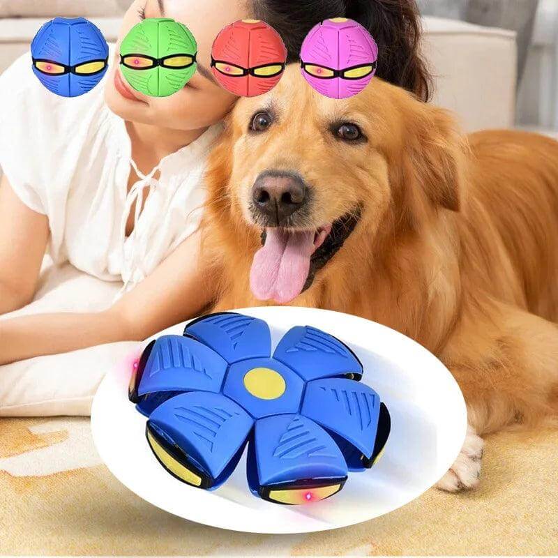 すべての犬を目覚めさせる跳ねるおもちゃ