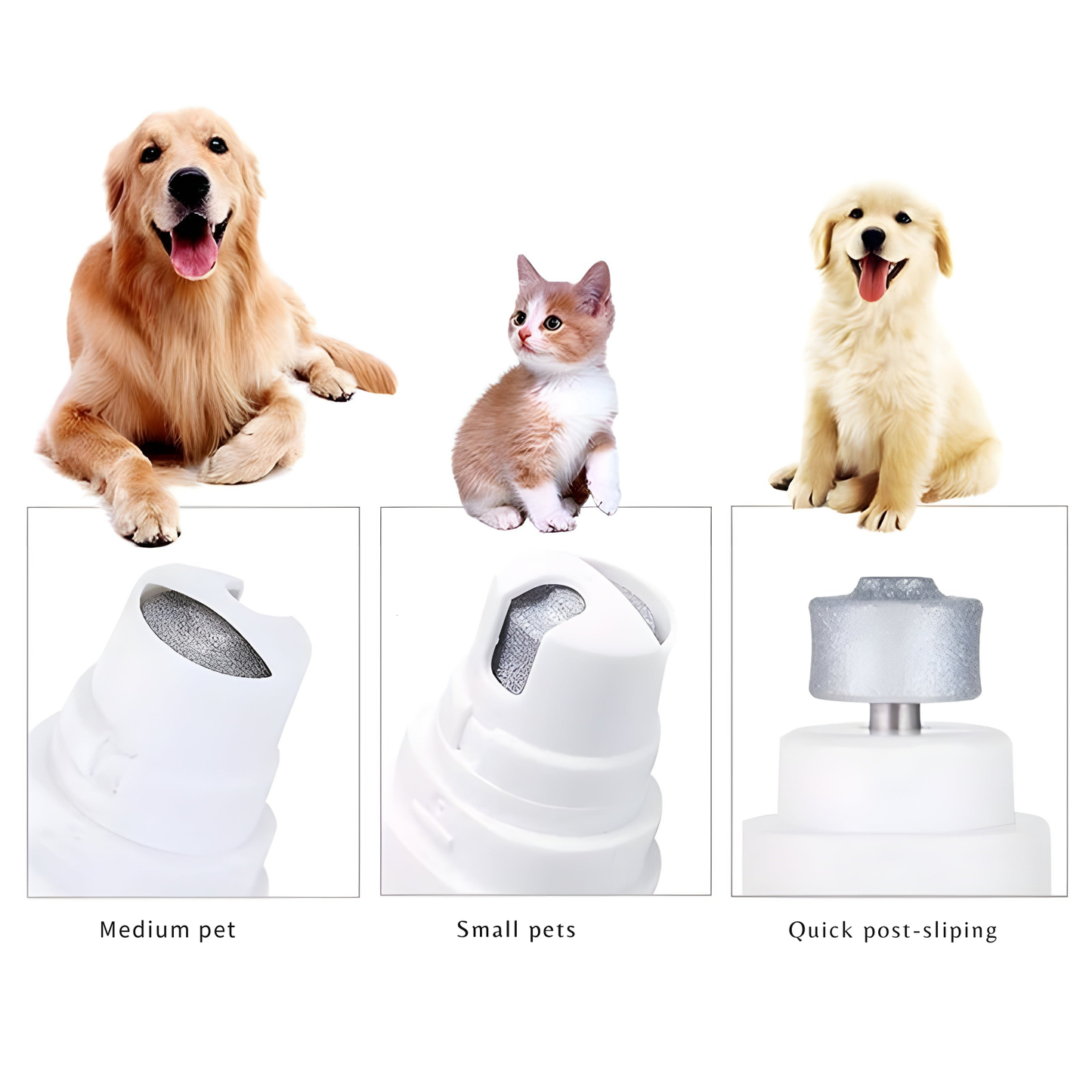 Stress-free nail file for your pet 