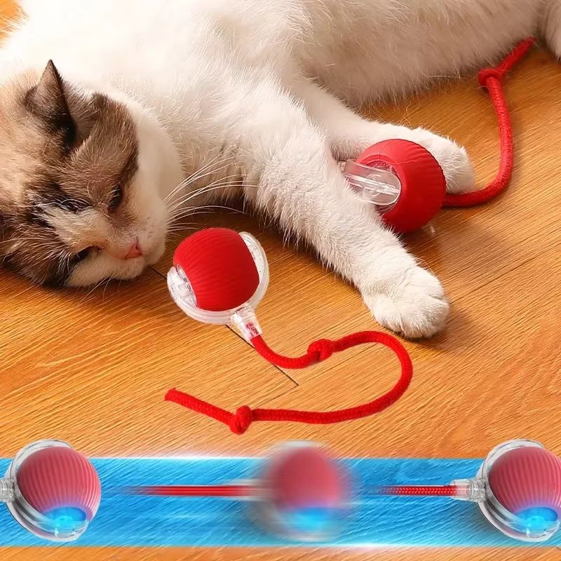 Hoppende leke for aktive og nysgjerrige katter 