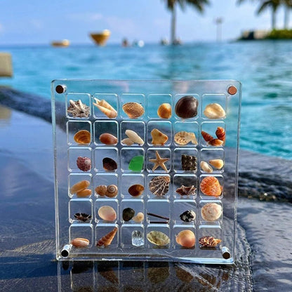 Exposez vos coquillages avec style et sécurité