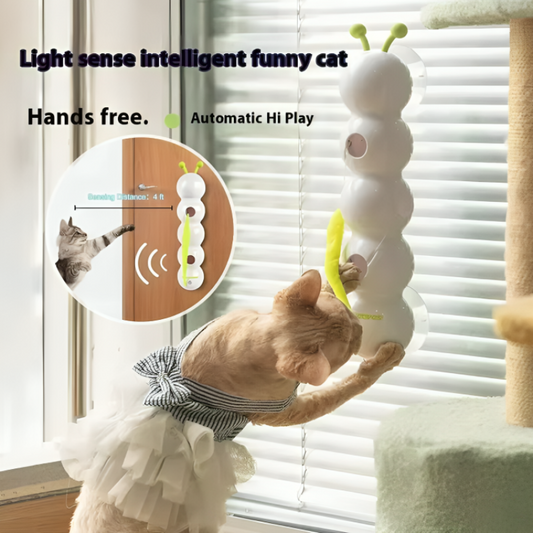 Jouet mural intelligent pour chat actif et curieux