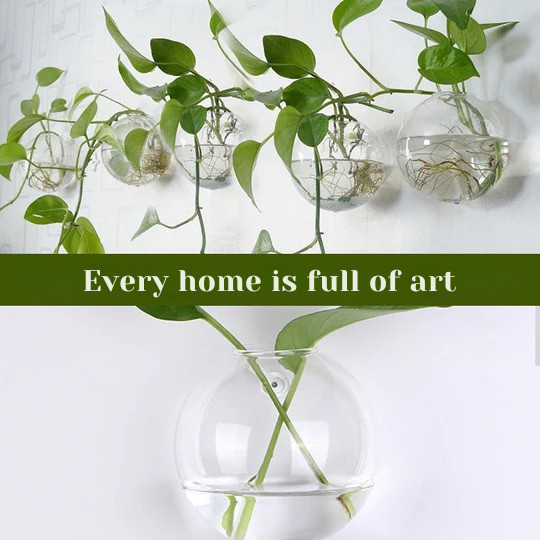 Showcase your plants on your walls, without drilling 