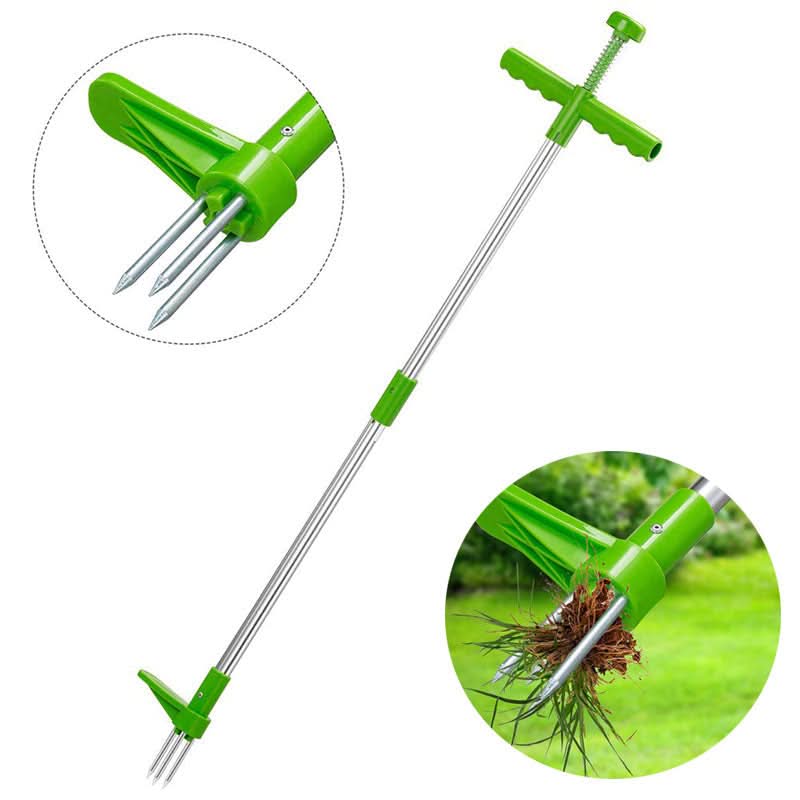 Extractor de malas hierbas de acero 