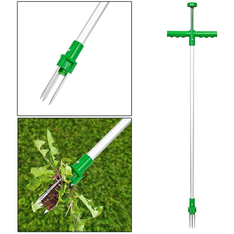 Extractor de malas hierbas de acero 