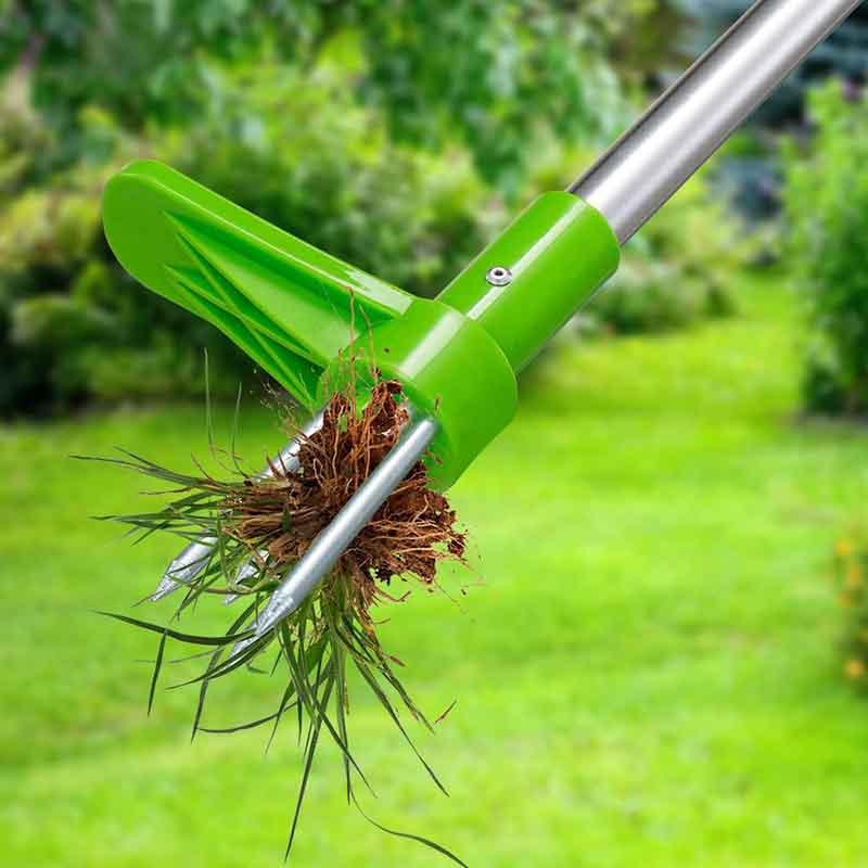Extractor de malas hierbas de acero 
